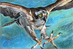 Hawk painting