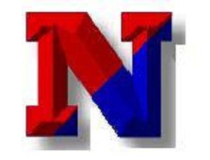 N Logo