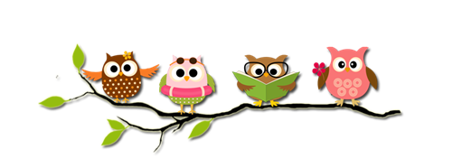 owls 