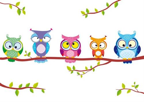 Owls on Branch 5 
