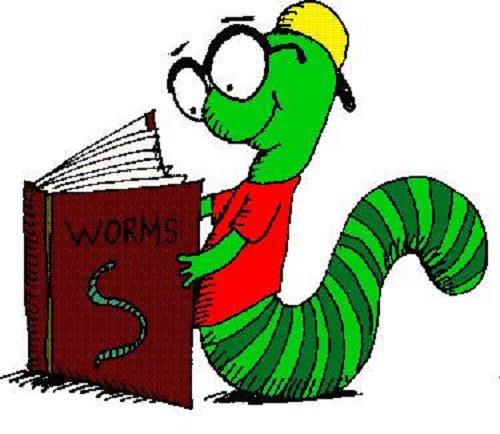 library worm
