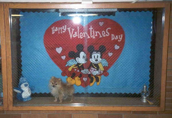 mitzivday mitzivday