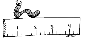inch worm