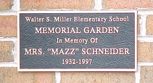 Mazz 