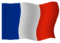 French AP 