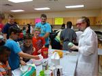 STEM 6 