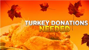 Turkey donation 