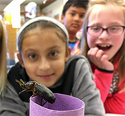 Bug experiment at Buck Elementary