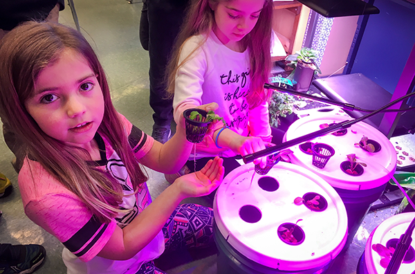 Hydroponic farmers at Buck ES