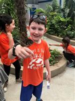 Insectarium 
