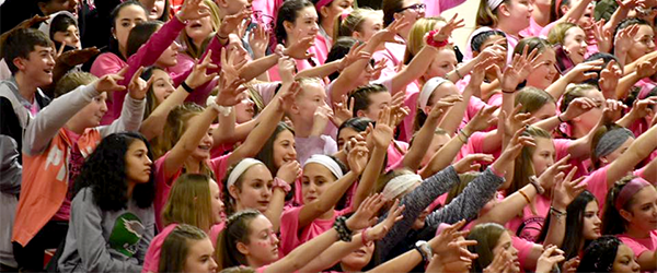 Coaches vs. Cancer crowd