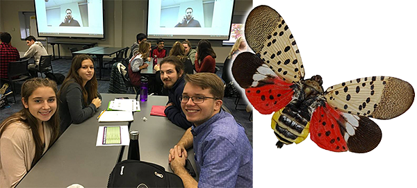 Student programmers and lanternfly