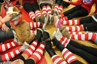 Ronald McDonald House 