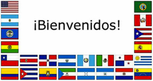 flags 