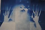 cyanotype 