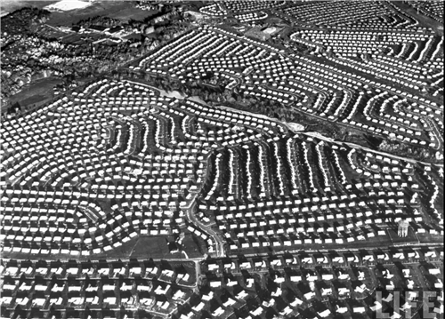 Colbalt Ridge in Levittown