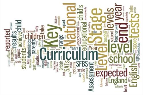 curriculum 