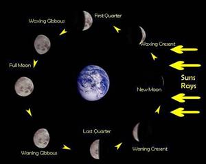 Moon Phases