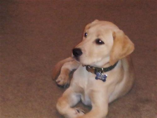Baby chance 
