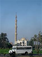 A Mosque. (Alexandria, Egypt) 