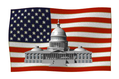 American Flag 