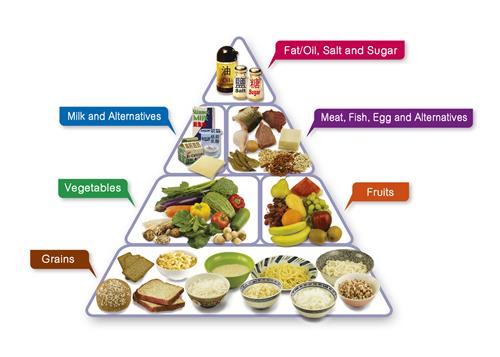 Food Pyramid